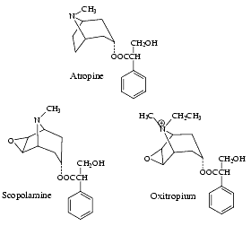 schéma de la structure d'un récepteur muscarinique (d'après
